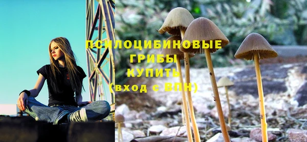 стаф Абдулино